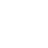 language_icon